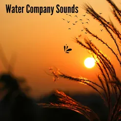 Water Company Sounds